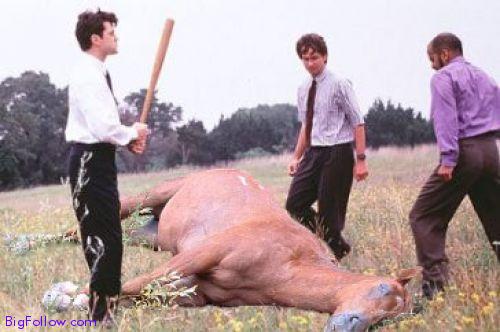 BEATING-A-DEAD-HORSE-The-office-space-scene-with-a-dead-horse.jpeg